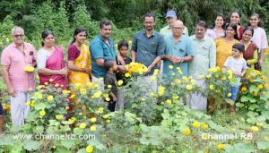 Read more about the article മത്സ്യകൃഷിക്ക് പിന്നാലെ ചെണ്ടുമല്ലി കൃഷിയിൽ നൂറു മേനി വിജയം കൊയ്ത് ലൈറ്റ് ആൻഡ് സൗണ്ട് ജീവനക്കാരൻ; വിളവെടുപ്പ് ഉദ്ഘടനം ചെയ്ത് പഞ്ചായത്ത് വൈസ് പ്രസിഡണ്ട്