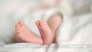 Read more about the article ഫ്ലാറ്റിലെ ഫ്രിഡ്ജിൽ ഗർഭസ്ഥ ശിശുവിൻ്റെ മൃതദേഹം; യുവ ദമ്പതികൾ പോലീസ് കസ്റ്റഡിയിൽ; ഫ്ലാറ്റിൽ പോലീസ് എത്തിയതും പരിശോധിക്കാനുണ്ടായ സാഹചര്യവും; കൂടുതൽ അറിയാം..