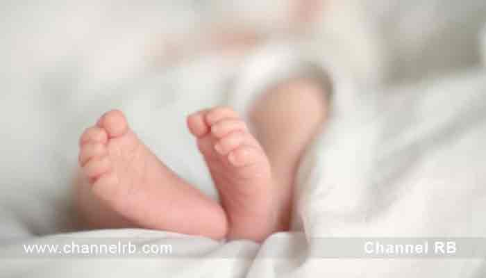 Read more about the article ഫ്ലാറ്റിലെ ഫ്രിഡ്ജിൽ ഗർഭസ്ഥ ശിശുവിൻ്റെ മൃതദേഹം; യുവ ദമ്പതികൾ പോലീസ് കസ്റ്റഡിയിൽ; ഫ്ലാറ്റിൽ പോലീസ് എത്തിയതും പരിശോധിക്കാനുണ്ടായ സാഹചര്യവും; കൂടുതൽ അറിയാം..