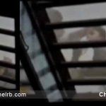 കാസർകോട്ട് അഞ്ച് വയസ്സുകാരനെ ക്രൂരമായി മർദ്ദിച്ച സംഭവത്തിൽ രണ്ടാനച്ഛൻ ഷൗക്കത്തലിയെ അറസ്റ്റ് ചെയ്തു; അയൽവാസി മൊബൈൽ പകർത്തിയ ദൃശ്യം നിർണ്ണായക തെളിവ്; കൂടുതൽ അറിയാം..